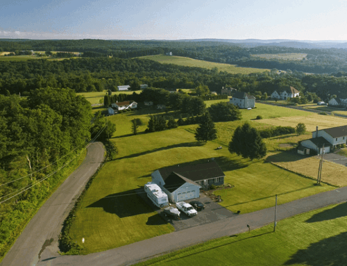 More Options Are Popping Up This Spring